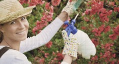 Lawn Garden Care