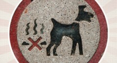 Scoop Dog Poop