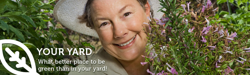 Get all the facts you need for a truly green garden!