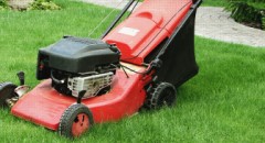 Fertilizing facts in Hampton Roads