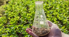 soil-testing