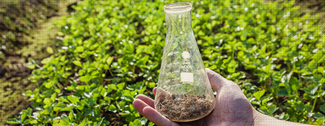 soil-testing