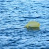 plastic-pollution-1327947-m