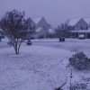 snowy