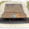 Storm Drain with Medallion