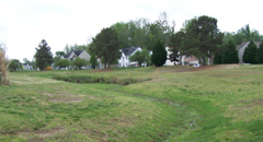 How To Maintain Your Grass Channel Fact Sheet Thumbnail