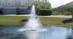 How To Maintain Your Ponds Thumbnail