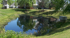 How To Maintain Your Ponds Fact Sheet Thumbnail