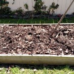 My compost bed in early spring is ready for action!