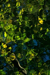 GlenMcClurePhoto2