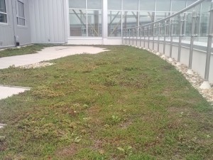 KellamHSroof