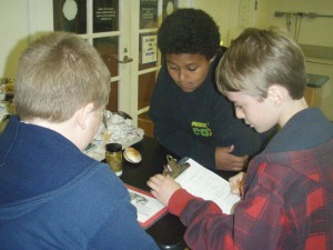 Trantwood Elementary students work in the Virginia Aquarium Bay Lab.