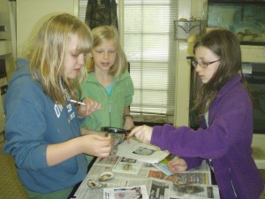 Trantwood Elementary students work in the Virginia Aquarium Bay Lab.