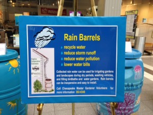 Photo credit: Chesapeake Master Gardeners