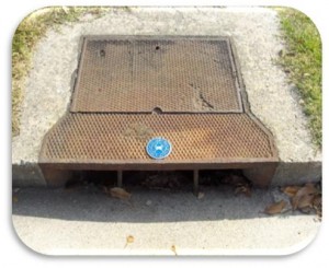 Storm Drain with Medallion