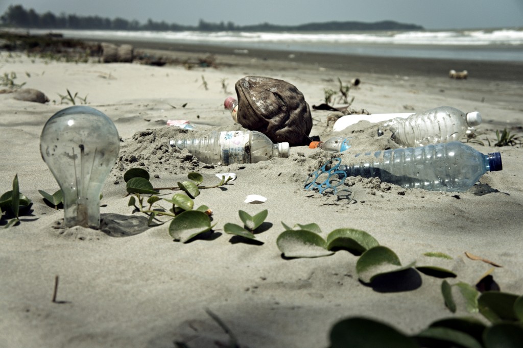 Imag Credit: OneGreenPlanet.org