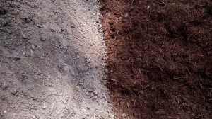 amendedsoilmulch