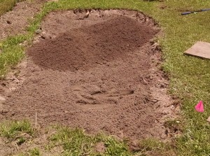 newsoil
