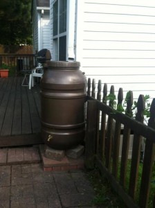 Bekah Rain Barrel