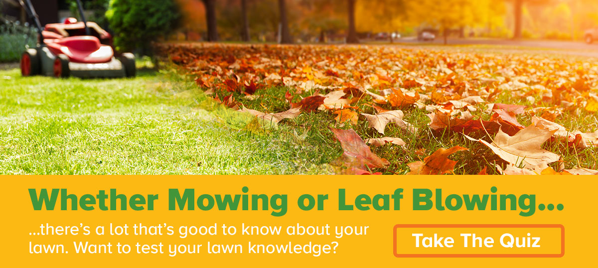 Take the lawn care quiz