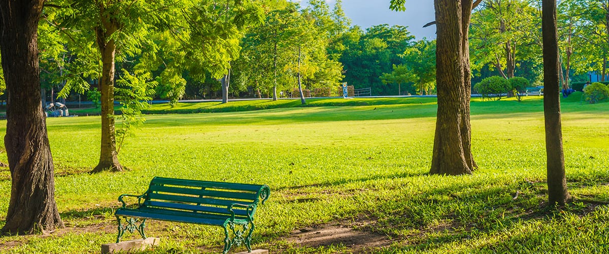 green bench in bright park