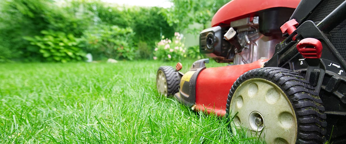 Lawn Care: Service Provider Questions - AskHRGreen