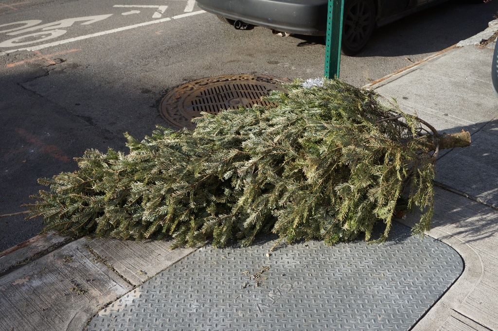 100 new york christmas tree disposal 100 christmas 100 new york christmas tree disposal 100 christmas
