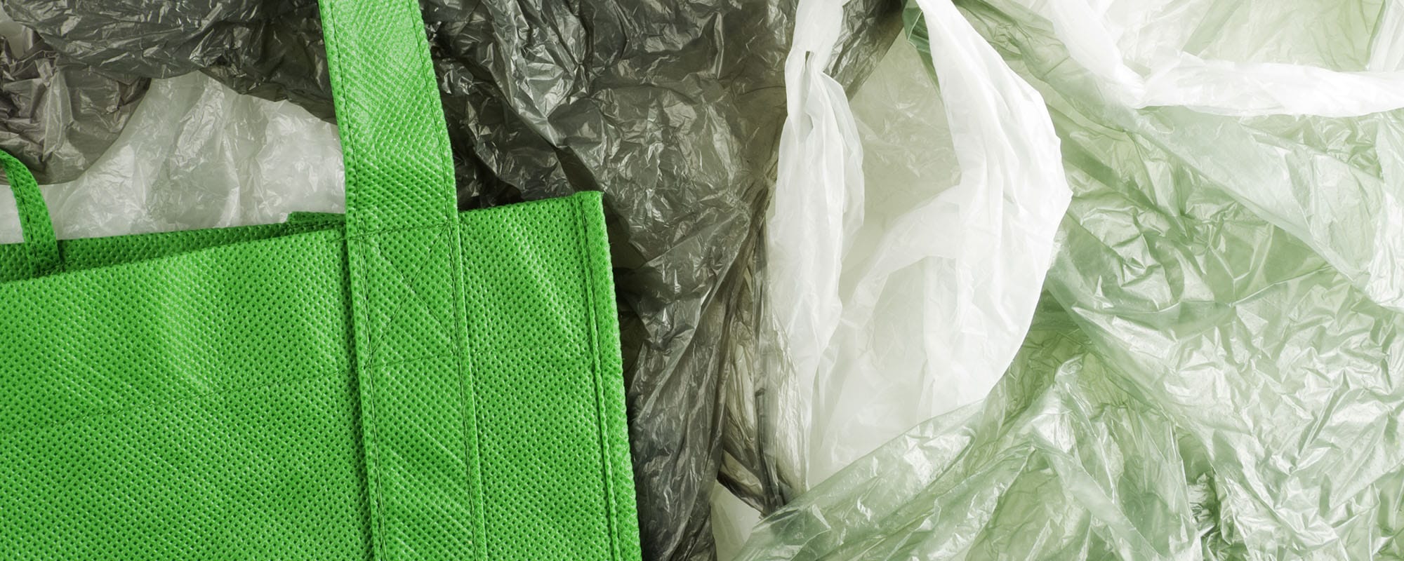 Aldo, Call It Spring Ditch Single-Use Plastic Bags for Sustainability –  Sourcing Journal