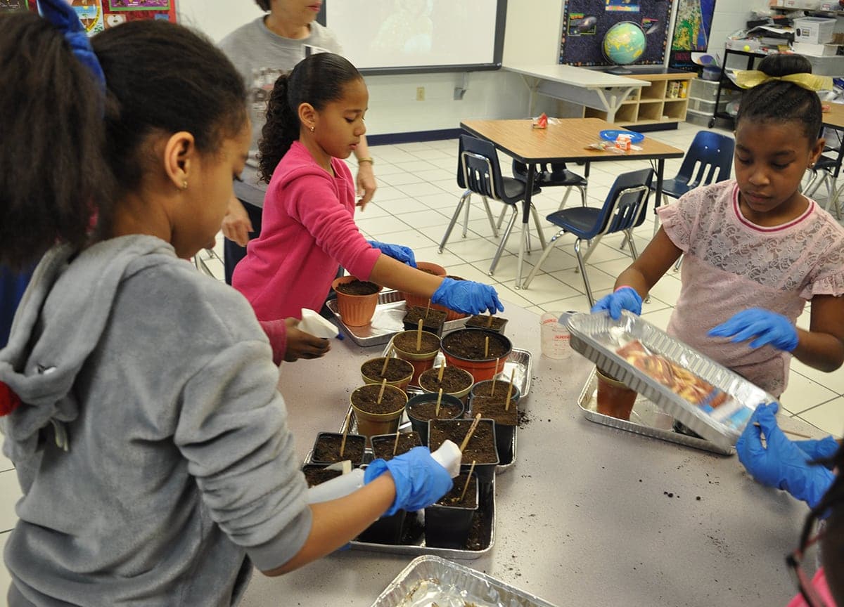Students testing soil in a classroom